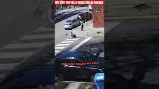 DID SHE GO OVERBOARD ????🐕💥🔫 #news #crime #shortsfeed