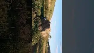 Испытание прицепа и пики для погрузки сена в рулонах