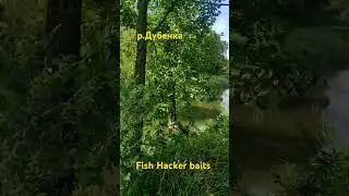 река Дубенка.