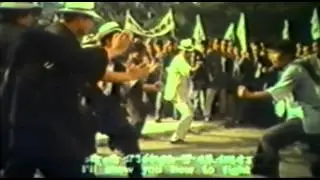 The Hero of Chiu Chow (1973)