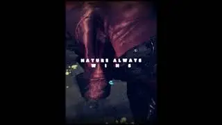 Poison Ivy saves Gotham
