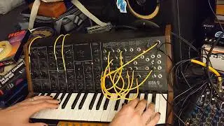 MS 20 Noodling