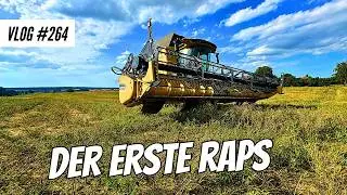 Vlog 265 Der erste Raps in Lohnarbeit