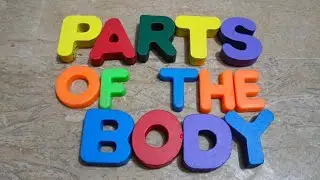 part of the body /part of the  body name/part of the body name in english.