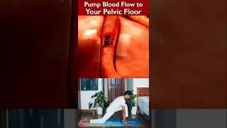 Pump Blood to Your Pelvic Floor 