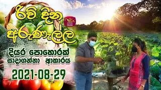 Rividina Arunella - දියර පොහොරක් සාදාගන්න හැටි  | 2021-08-29 | Rupavahini | Agricultural Programme