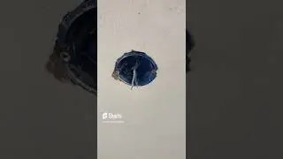 Как быстро и крепко поставить розетку или выключатель! Лайфхак!