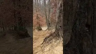 Haspin acres 12/17/22