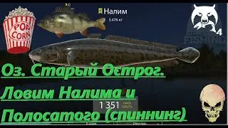 Russian Fishing 4. Oz. Old Ostrog. Bark for the pharmacist Nalim and Okun.