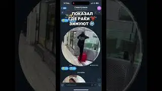 Раки зимуют вон оказывается где) 