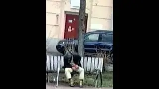 Бомж писю нюхает лол