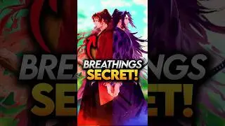 Why Sun Breathing and Moon Breathing Are TOTALLY OPPOSITE? Demon Slayer Explained 