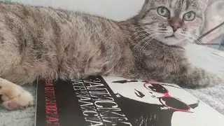 Кот материалиста представляет...