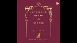 Стоя — Философия, порно и котики