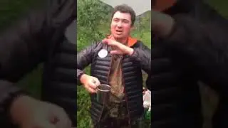 Этот анекдот заставит любого засмеяться!!!!