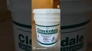 Painting A Wall With Cloverdale Super Acrylic II Paint  #diy #housepaint