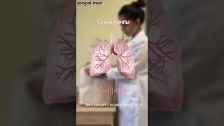 WHAT DO DOCTORS HEAR IN OUR LUNGS? | SCALPEL.MED