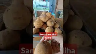 Kaon tag Santol