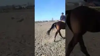 video 1586148121