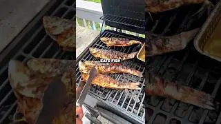 Joe Rogan Exposes Fish