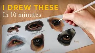 How to Draw Eyes | Easy Step by Step Dog's Eyes