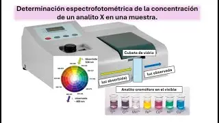 Determinación espectrofotométrica. Recta de calibración.