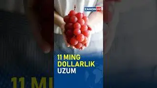 11 ming dollarlik uzum