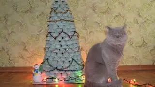 DIY Мятная ёлка из грецких орехов  своими руками Peppermint tree walnut