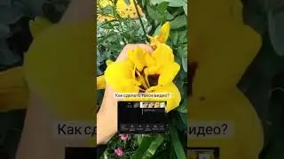 Полный разбор уже в Телеграм канале 🤗