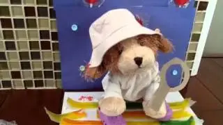 Windy With A Chance of Candy