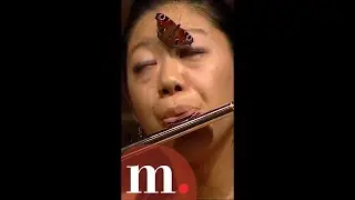A butterfly in love with a flutist #shorts