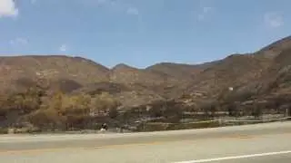 After the Camarillo Springs Fire - Ray Miller (short)