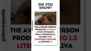 Swimming Pools of Saliva 🏊_♂️| #didyouknow  #facts #shorts #ytshorts  #SalivaFacts #FunScience