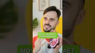 Как вы можете НАВРЕДИТЬ своим почкам? #внутренниеорганы #здоровье #мочеваякислота