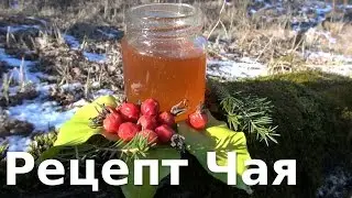 Как приготовить вкусный чай в лесу / Лесная кухня