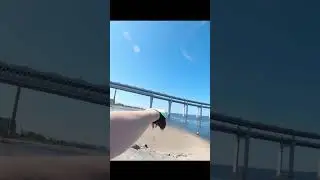 Финский залив и ЗСД над ним. 
