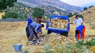 Samir's Journey to the Heart of Zagros Village | Iran Nomadic Lifes style,