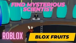 MYSTERIOUS SCIENTIST/RAID CHIP/BLOX FRUITS