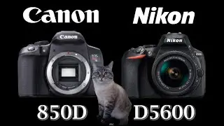Canon EOS 850D / Rebel T8i vs Nikon D5600