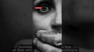 27 августа 2024 г.