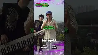 아이묭에게 한국이 사과합니다. "Marigold" 뽕짝 버전ㅋㅋㅋ #shorts