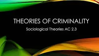 Criminology Unit Two Coverall (WJEC)