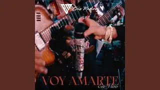 Voy Amarte (En Vivo - Special Version)