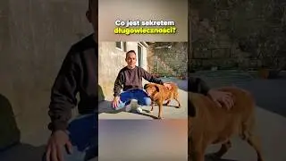 NAJSTARSZY PIESEK NA ŚWIECIE 🐾