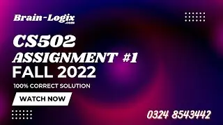 CS502 Assignment No 1 Solution Fall 2022 by @Brain-Logix | 
