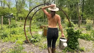 Building a Mobile Coop | Growing FOOD FOREST