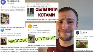 Кошколюбная бомбежка, 5 единиц на авито, массовое отупение, коты вместо телефонов Samsung galaxy