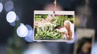 Share after effect project, free download after effect template - Wedding after effects template.