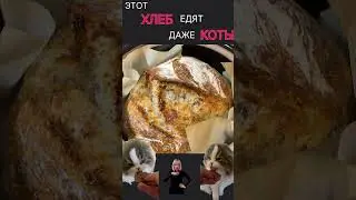 ЭТО НЕНОРМАЛЬНО!