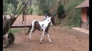 Dominio da Casa Nova.wmv
